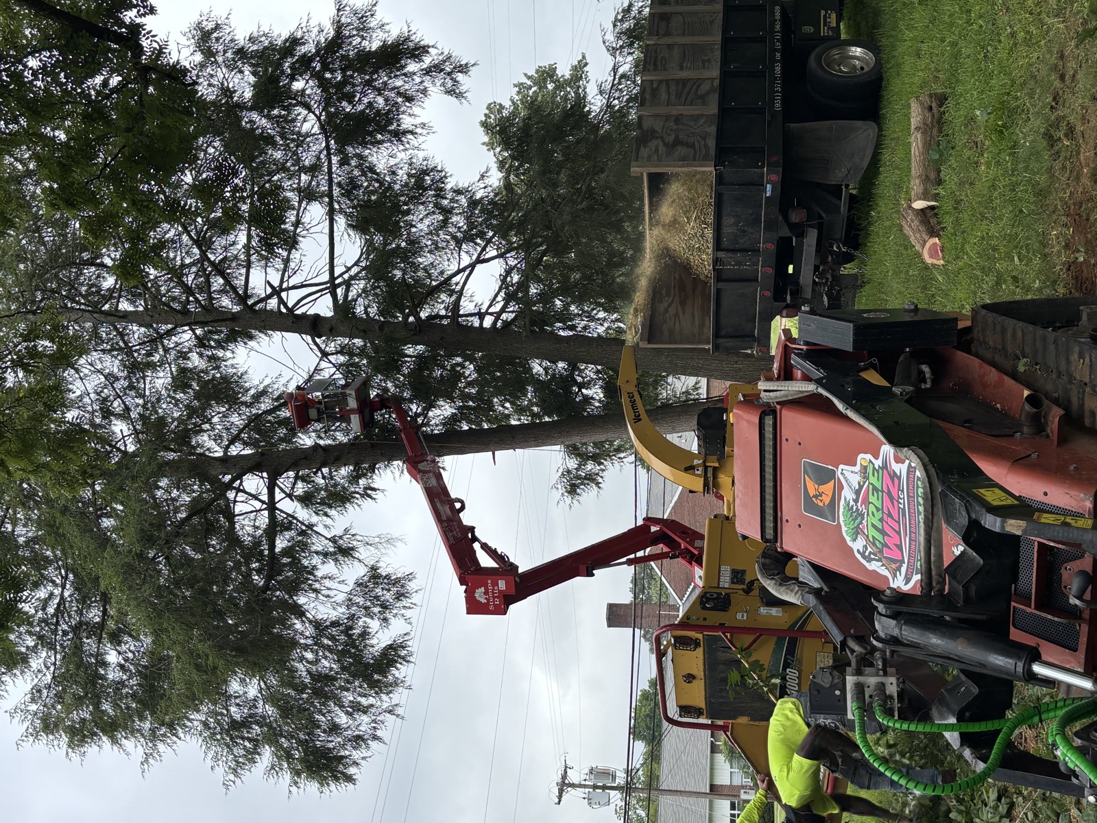 Tree Wizz climber working from the lift while the crew chips brush below